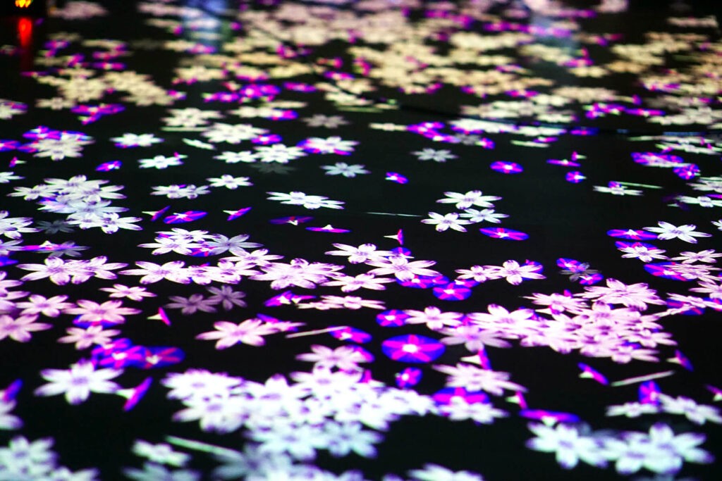 Digital art flowers on the floor that move if you walk towards them